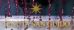Tenuta San Guido - Bolgheri Sassicaia